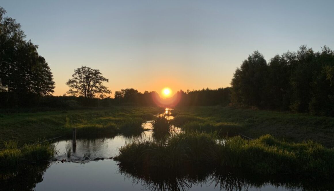Avondschemering
